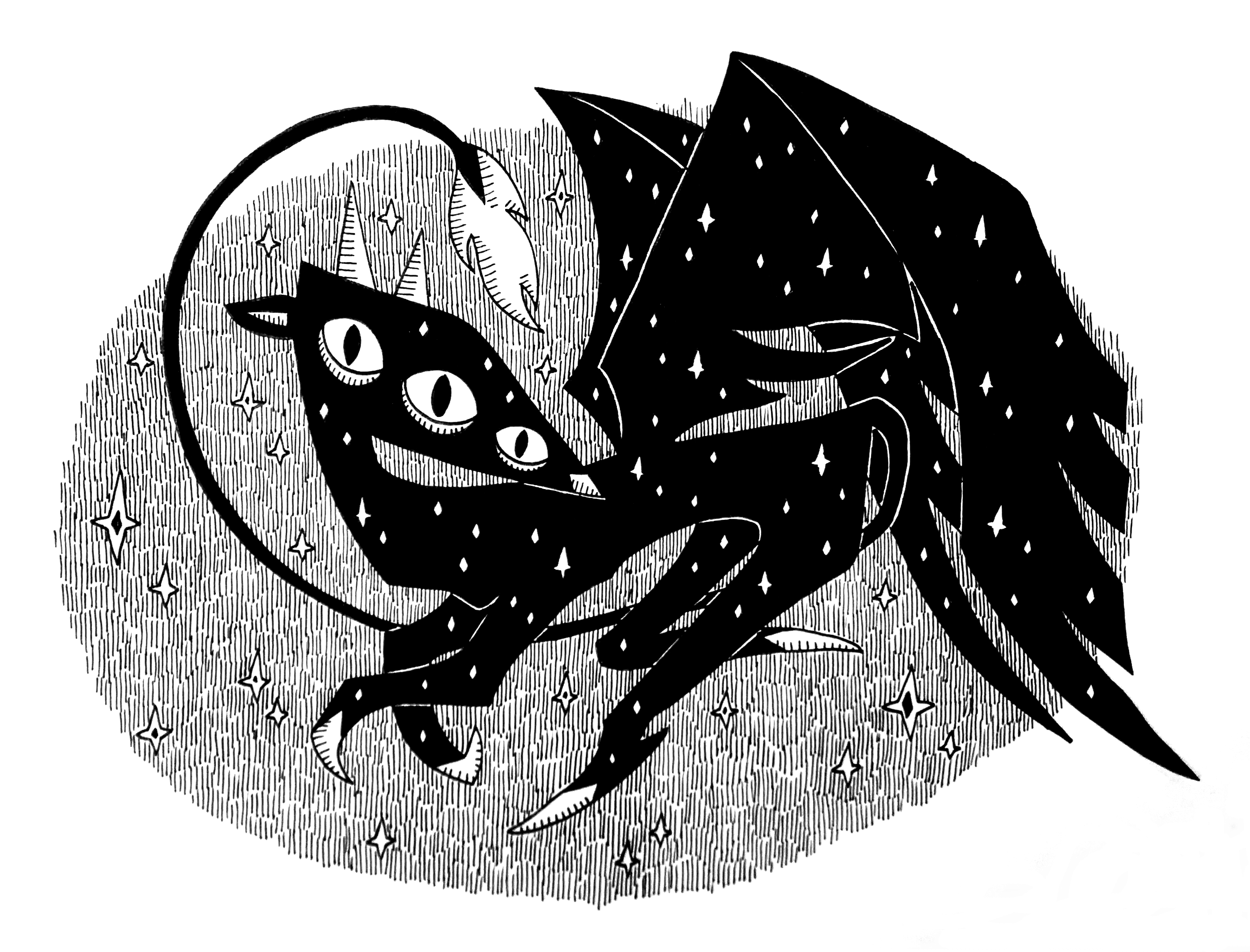 Oiseau de nuit.jpg